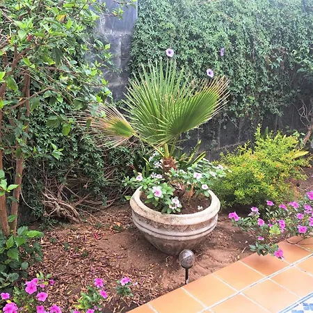 Sevilla, Amalia Сasa de vacaciones